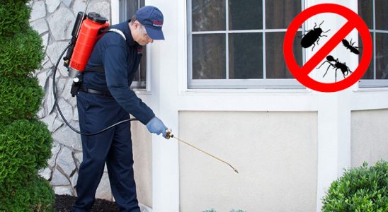 Vezirköprü Kene İlaçlama böcek ilaçlama ve haşere kontrolü — ilaclama-tr.com